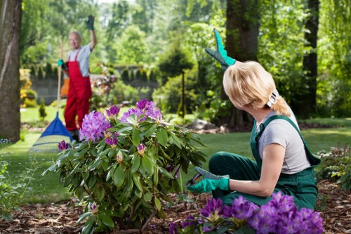 Landscaping team in Mottingham reviewing ethical labour standards