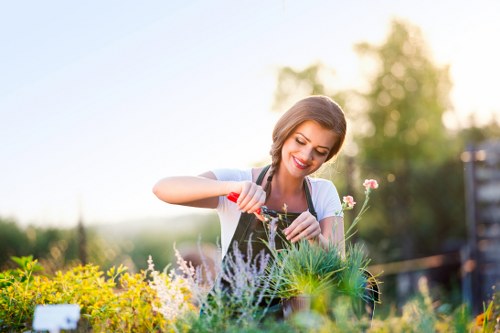 Professional landscapers transforming a garden in Mottingham