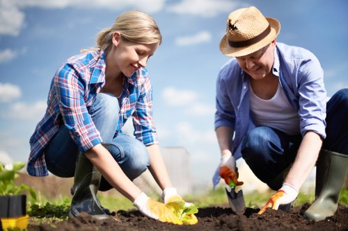Benefits of professional hedge trimming services