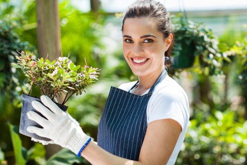 Seasonal hedge maintenance in Mottingham