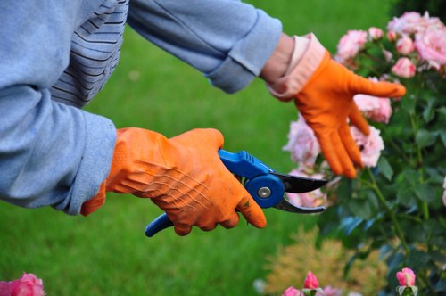 Professional landscaping preparation for a property in Mottingham