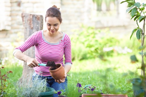 Assessment of an outdoor space for garden renovation in Mottingham