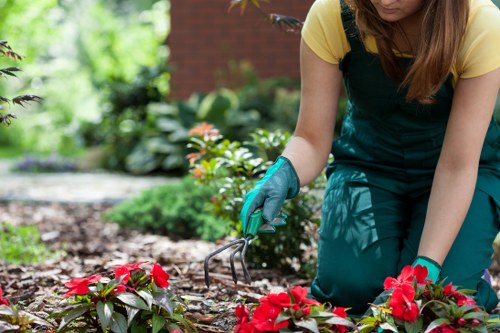 Reusable landscaping materials prepared for charity donation