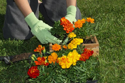 Outdoor garden maintenance in Mottingham with clean paths and healthy plants