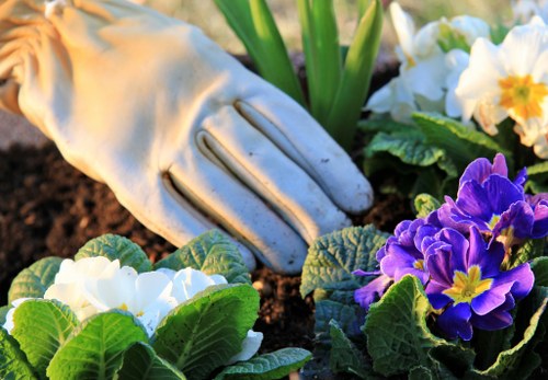 Durable paving and landscaping materials for garden renovation
