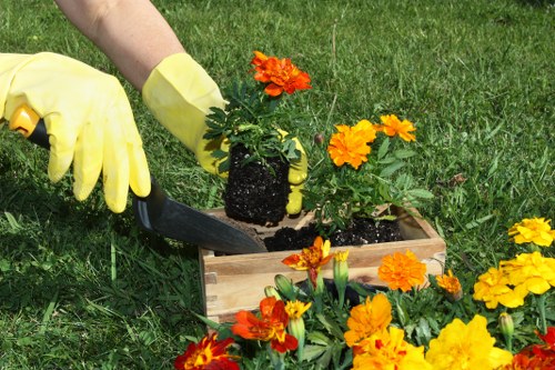 Garden planning and hard landscaping in Mottingham