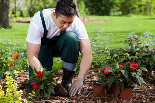 Seasonal lawn mowing in Mottingham with healthy green grass
