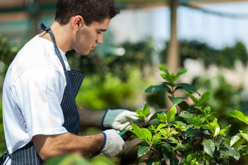 Management addressing a reported ethical concern in landscaping operations
