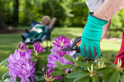 Mottingham lawn mowing service improving a family garden