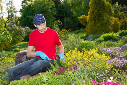 Accessibility review image for a Mottingham landscaping website