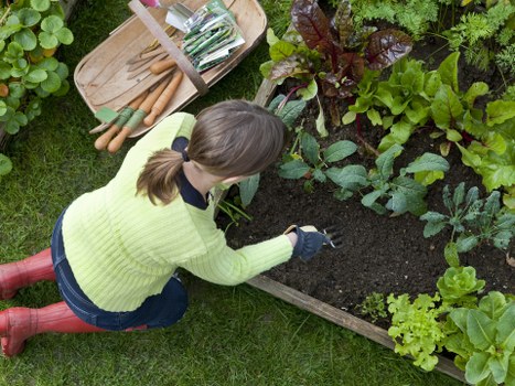 Residential garden clearance preparation in Mottingham