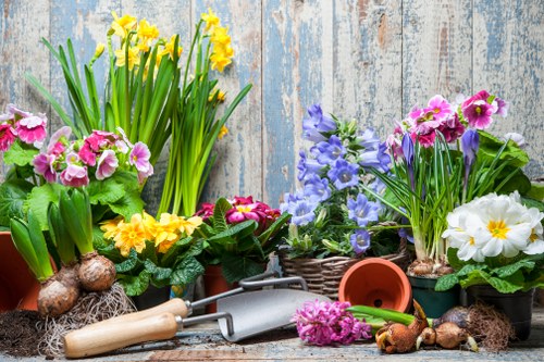 Local garden maintenance in Mottingham showing seasonal planting and tidy borders